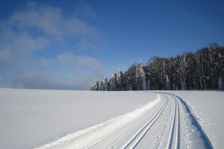 Cozy Apartment In Sonnen Bavaria Near Forest Luaran gambar